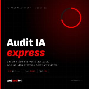 Audit IA express